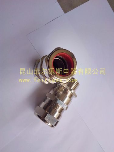 工厂直销 npt1不锈钢铠装防爆电缆密封夹紧接头